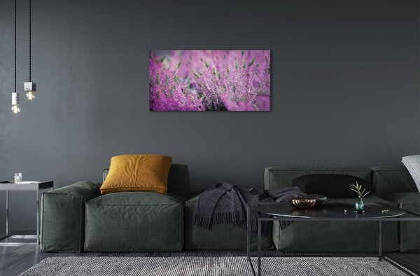 Sklenený obraz poľné vresy 100x50 cm 2 Prívesky