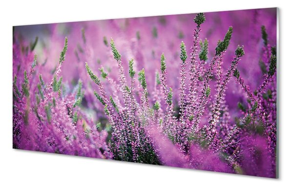 Sklenený obraz poľné vresy 100x50 cm 2 Prívesky