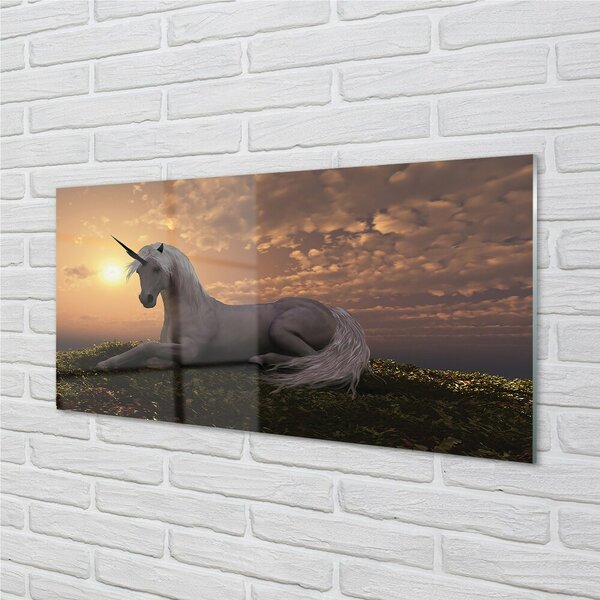 Sklenený obraz Unicorn horské slnko 100x50 cm 2 Prívesky