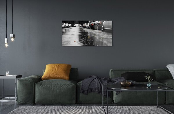 Obraz na skle Car jesenné lístie cesty 100x50 cm 2 Prívesky