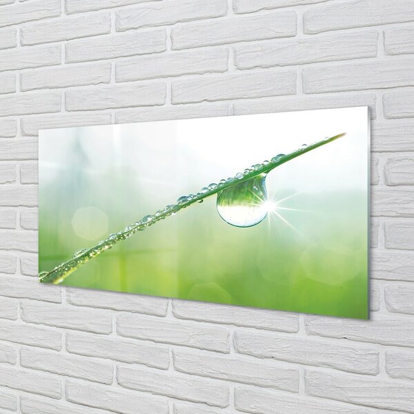 Obraz na skle Drop tráva makro 100x50 cm 2 Prívesky
