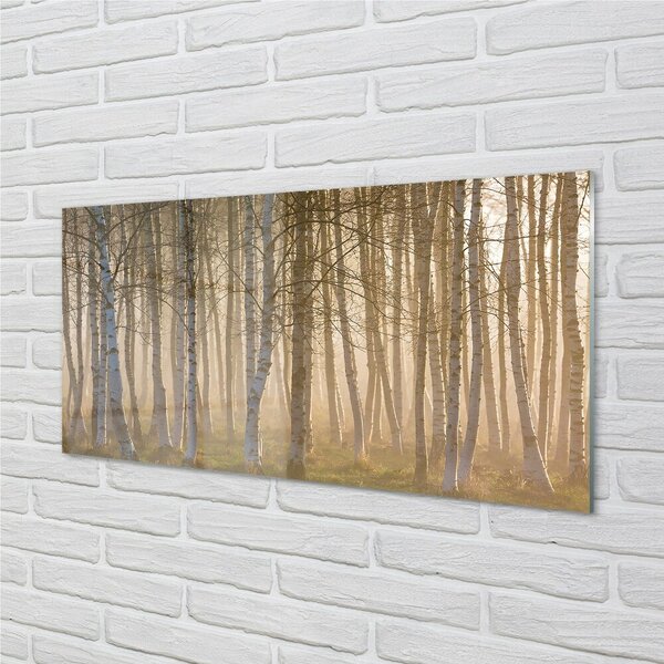Sklenený obraz Sunrise strom les 100x50 cm 2 Prívesky