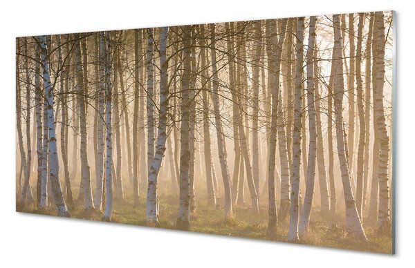 Sklenený obraz Sunrise strom les 100x50 cm 2 Prívesky