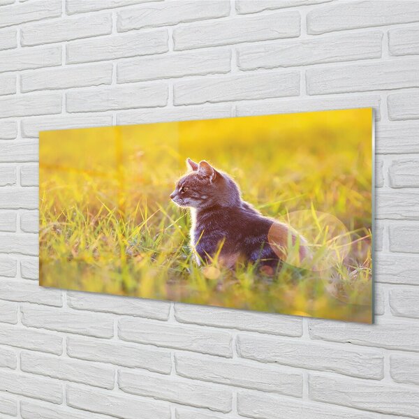 Sklenený obraz lov cat 100x50 cm 2 Prívesky