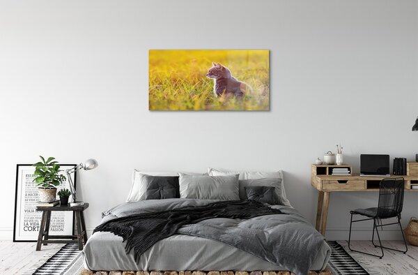 Sklenený obraz lov cat 100x50 cm 2 Prívesky