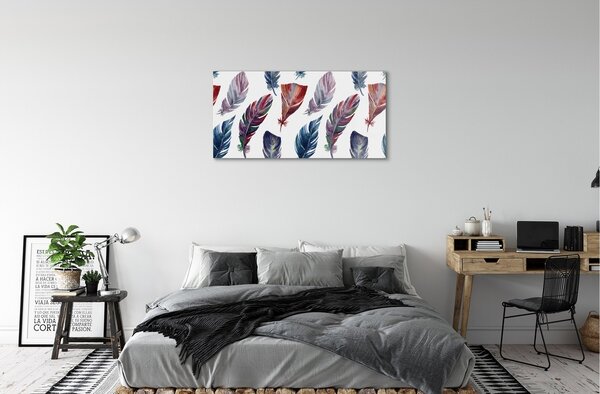 Sklenený obraz farebné perie 100x50 cm 2 Prívesky