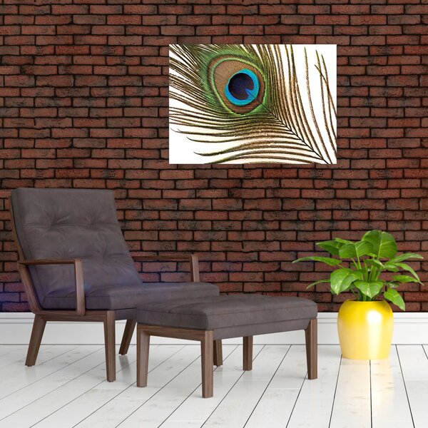 Obraz pávieho peria (70x50 cm)