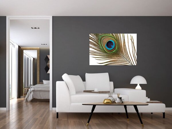 Obraz pávieho peria (90x60 cm)