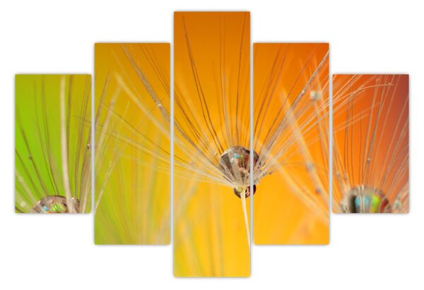 Obraz kvapiek na rastline (150x105 cm)