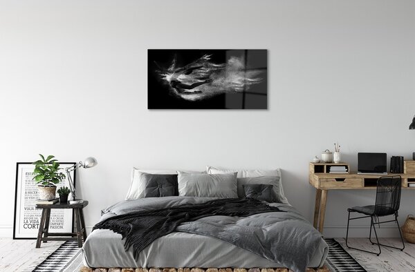 Sklenený obraz Žena baletné dymové šedé pozadie 100x50 cm 2 Prívesky