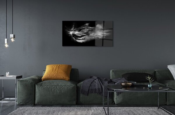 Sklenený obraz Žena baletné dymové šedé pozadie 100x50 cm 2 Prívesky