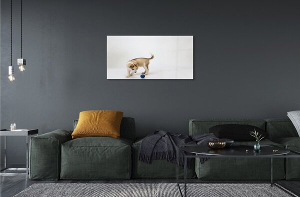 Sklenený obraz Hrať s tým psom 100x50 cm 2 Prívesky