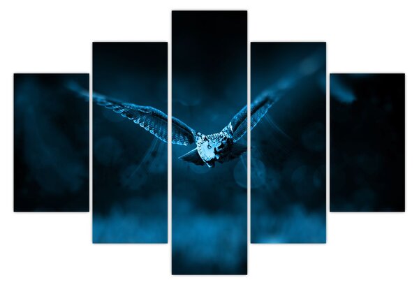 Obraz letiacej sovy (150x105 cm)