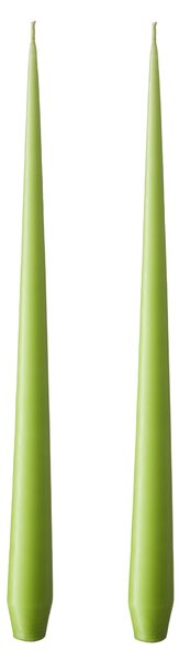 Sviečka Taper 32 cm – 35 Apple Bite – set 2 ks