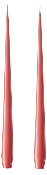 Sviečka Taper 32 cm – 26 Coral Reef – set 2 ks