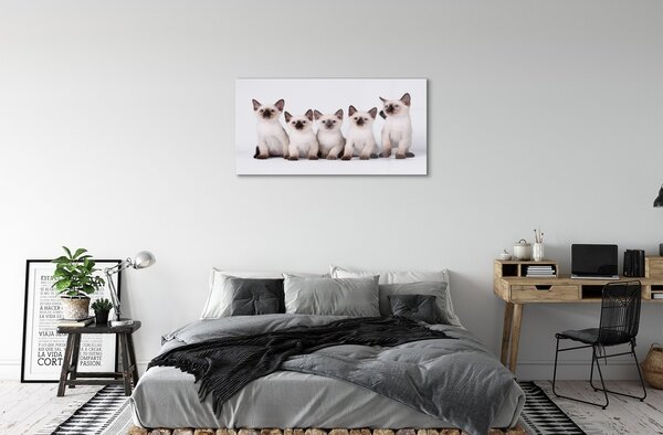 Sklenený obraz malé mačky 100x50 cm 2 Prívesky