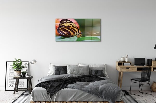 Sklenený obraz motýľ 100x50 cm 2 Prívesky