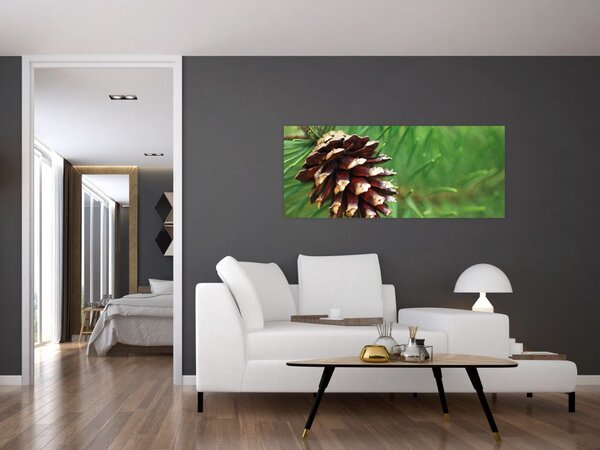 Obraz šišky (120x50 cm)