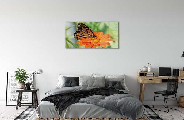 Sklenený obraz Kvet farebný motýľ 100x50 cm 2 Prívesky