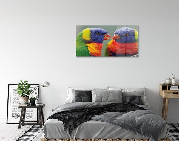 Sklenený obraz farebný papagáj 100x50 cm 2 Prívesky