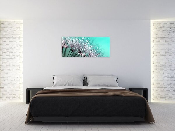 Obraz - orosená rastlina (120x50 cm)