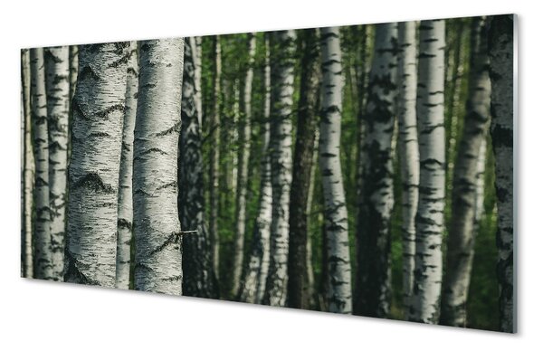 Sklenený obraz brezového lesa 100x50 cm 2 Prívesky