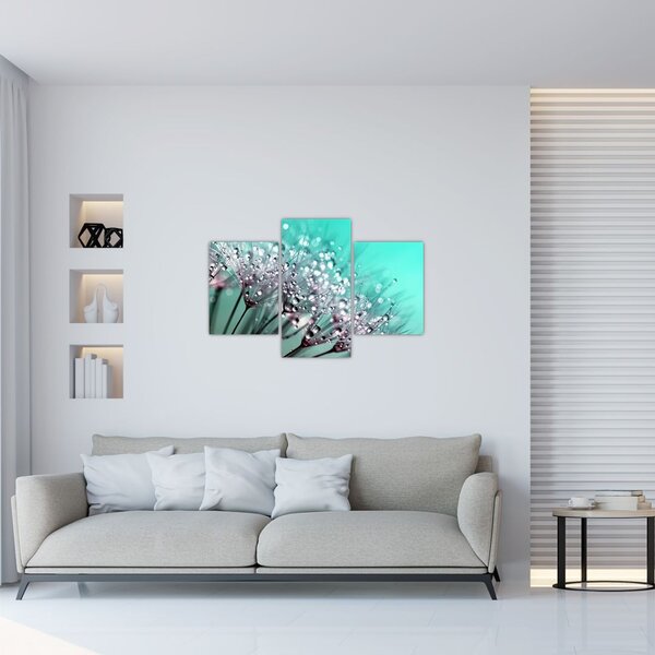Obraz - orosená rastlina (90x60 cm)