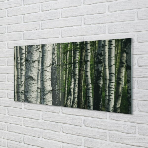 Sklenený obraz brezového lesa 100x50 cm 2 Prívesky