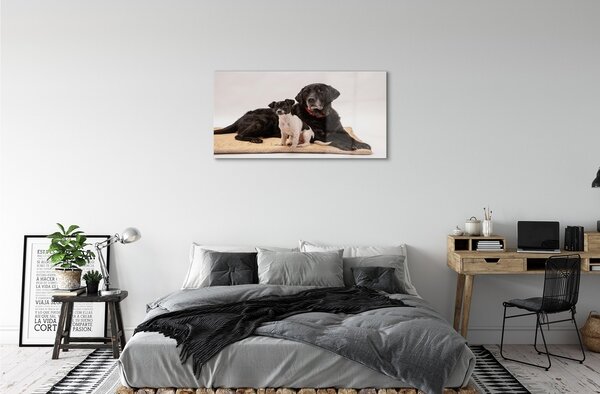 Sklenený obraz ležiace psi 100x50 cm 2 Prívesky
