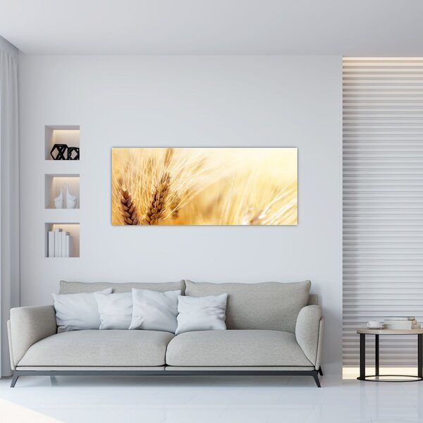 Obraz - detail obilia (120x50 cm)