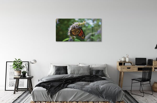 Sklenený obraz Kvet farebný motýľ 100x50 cm 2 Prívesky