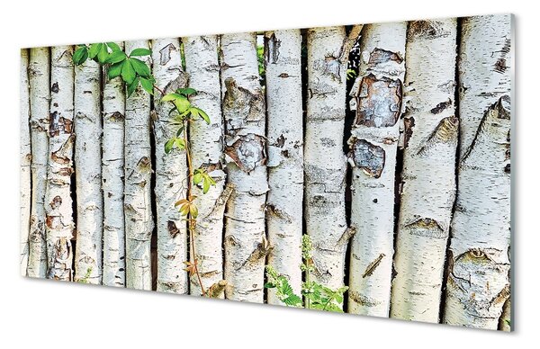 Sklenený obraz brezové lístie 100x50 cm 2 Prívesky