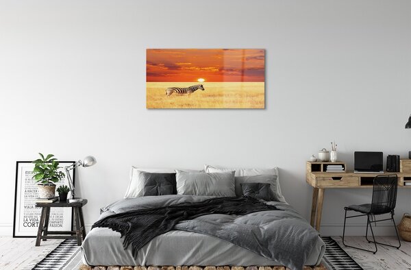 Sklenený obraz Zebra poľa sunset 100x50 cm 2 Prívesky