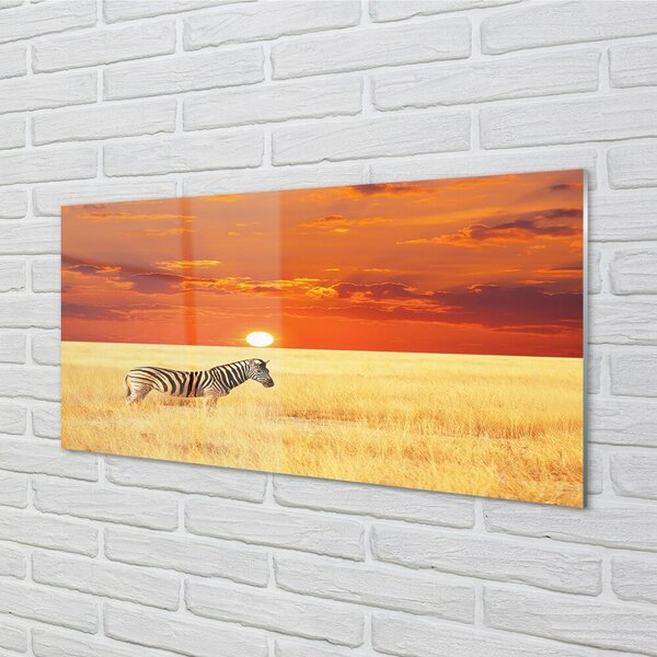 Sklenený obraz Zebra poľa sunset 100x50 cm 2 Prívesky