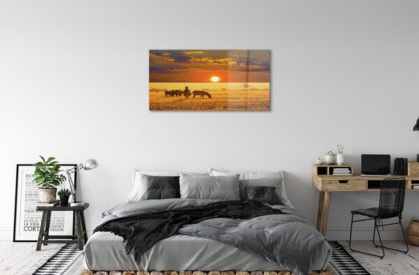 Obraz na skle Zebra západ mraky 100x50 cm 2 Prívesky