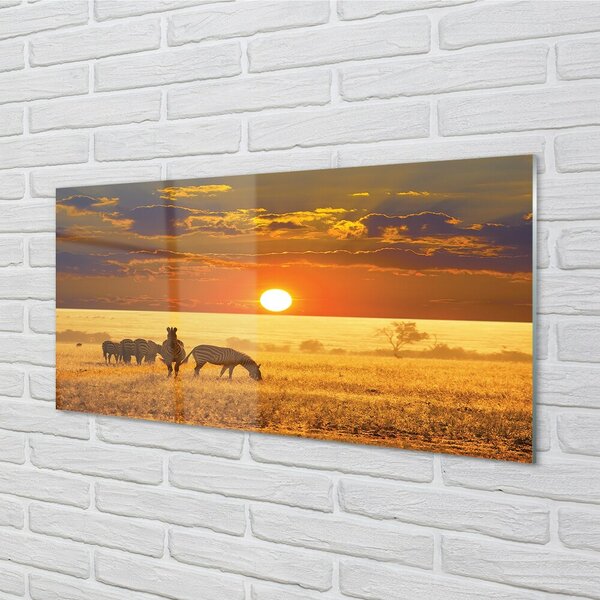 Obraz na skle Zebra západ mraky 100x50 cm 2 Prívesky