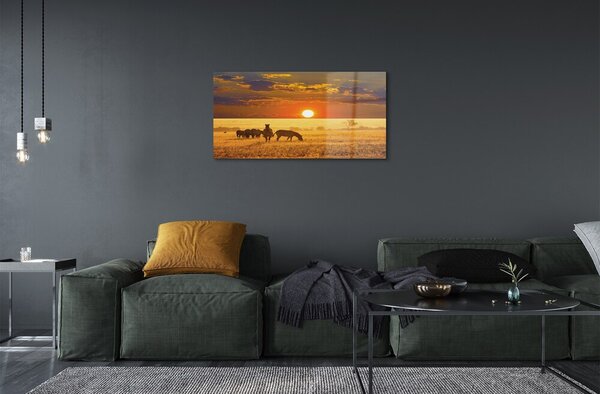 Obraz na skle Zebra západ mraky 100x50 cm 2 Prívesky
