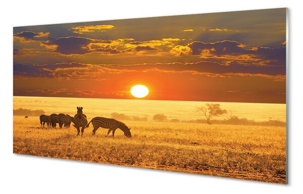 Obraz na skle Zebra západ mraky 100x50 cm 2 Prívesky