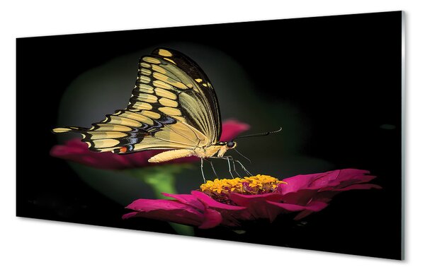 Sklenený obraz Motýľ na kvetine 100x50 cm 2 Prívesky