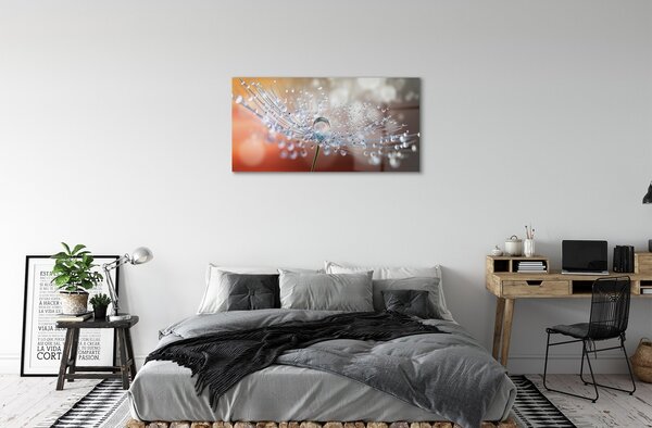 Obraz na skle Kvapky makro púpava 100x50 cm 2 Prívesky