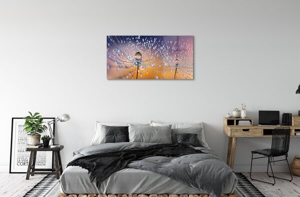 Obraz na skle Kvapky makro púpava 100x50 cm 2 Prívesky