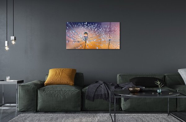 Obraz na skle Kvapky makro púpava 100x50 cm 2 Prívesky