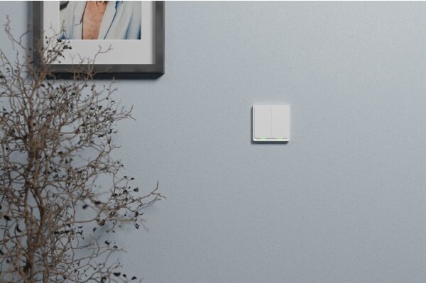 TESLA Smart - Inteligentný spínač domový 2P 230V Zigbee