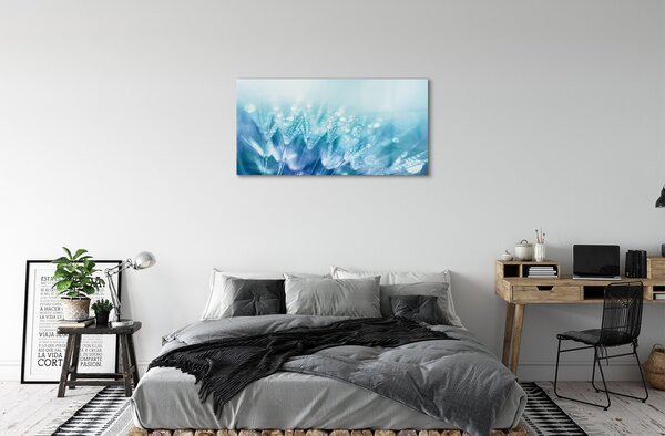 Obraz na skle Kvapky púpavy abstrakciu 100x50 cm 2 Prívesky