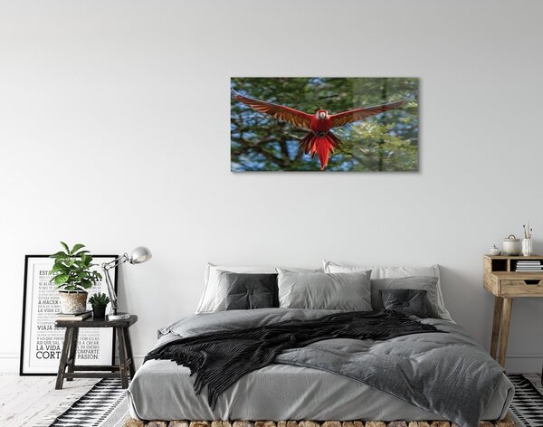 Sklenený obraz ara papagáj 100x50 cm 2 Prívesky