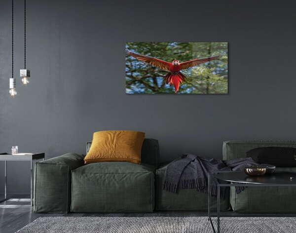 Sklenený obraz ara papagáj 100x50 cm 2 Prívesky