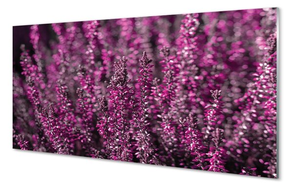 Sklenený obraz poľné vresy 100x50 cm 2 Prívesky