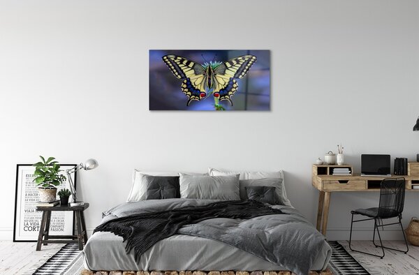 Sklenený obraz Motýľ na kvetine 100x50 cm 2 Prívesky