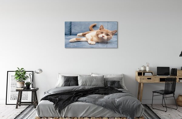 Sklenený obraz ležiace mačka 100x50 cm 2 Prívesky
