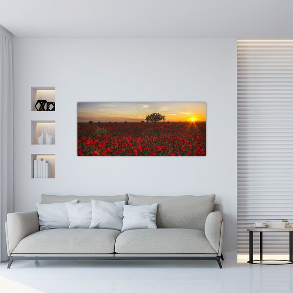Obraz lúky s vlčími makmi (120x50 cm)